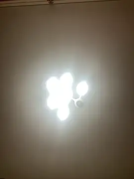 Janet Welder online show from December 2, 2024, 6:09 am