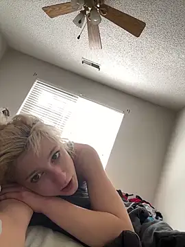 torilux online show from March 17, 2025, 2:56 pm