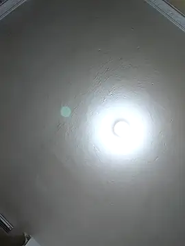 evafoxs online show from March 22, 2025, 11:20 pm