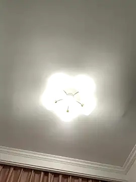 Aimeil online show from November 27, 2025, 7:05 pm