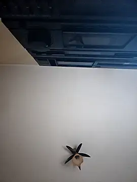 vulpe8400 online show from April 8, 2026, 10:10 pm