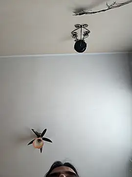 vulpe8400 online show from April 19, 2026, 11:09 am