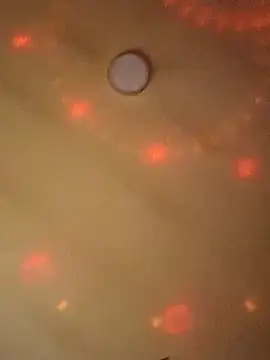 Ely Elenita online show from March 7, 2025, 9:27 pm