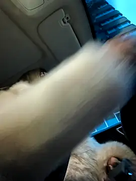 SukyGirl online show from January 4, 2025, 5:37 am