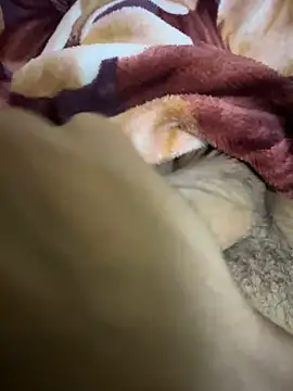 Snapshot of hamed-697 chatting on December 7, 2024, 11:23 pm hamed-697 online show from December 7, 2024, 11:23 pm