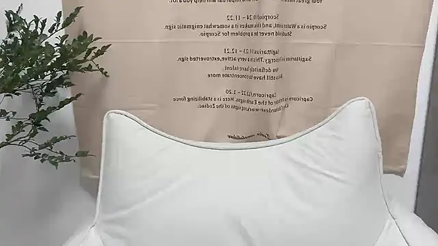 Arrebo1 online show from December 4, 2024, 2:37 pm