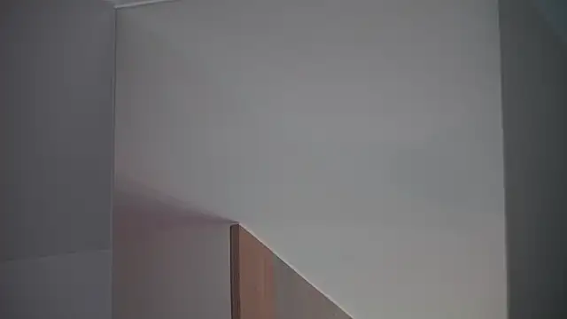 DreamSofia online show from March 15, 2025, 12:24 pm