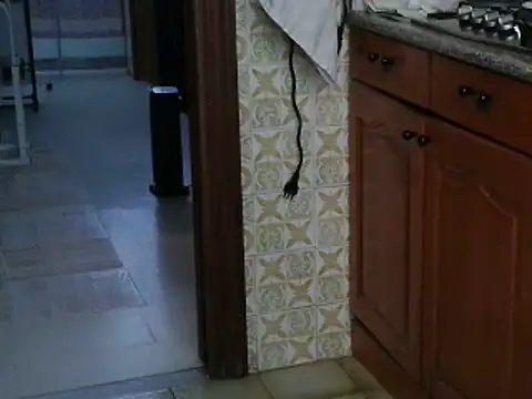 VeneRed online show from October 13, 2025, 8:03 am