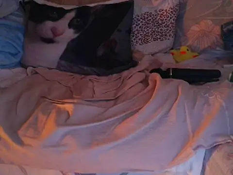 VeneRed online show from November 30, 2025, 7:51 pm