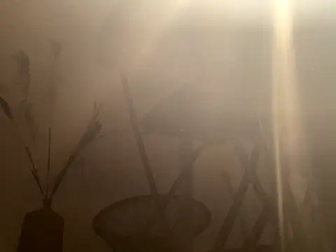 Snapshot of mesetti chatting on December 8, 2024, 3:13 pm mesetti online show from December 8, 2024, 3:13 pm