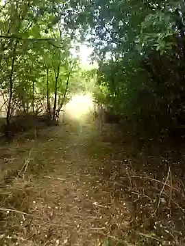 nataliecdlive online show from September 13, 2025, 1:33 pm