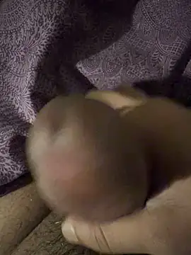 BigAddress0 online show from February 23, 2026, 2:42 am