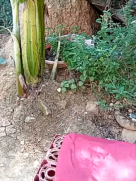 tayson  online show from January 11, 2025, 3:20 pm