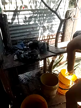 tayson  online show from January 15, 2025, 5:58 pm