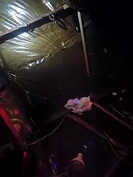 Jamixxxdress77 online show from March 8, 2026, 12:08 am