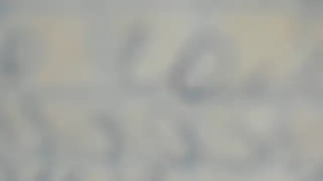 elis gabbi online show from September 12, 2025, 1:00 pm