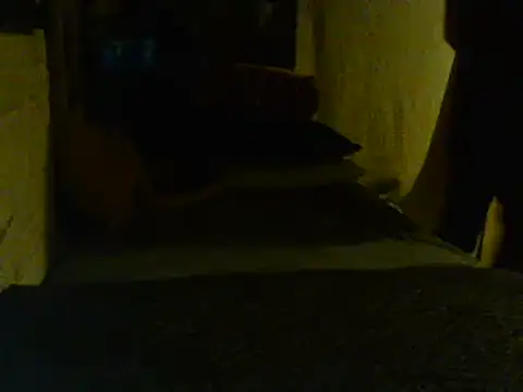 Snapshot of Gman143187 chatting on February 2, 2025, 9:08 am Gman143187 online show from February 2, 2025, 9:08 am