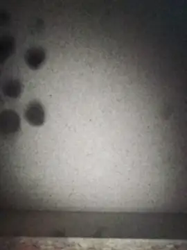 Leocesar37 online show from September 12, 2025, 7:19 am