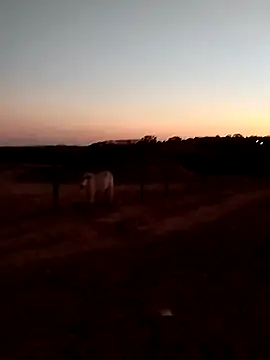 Leocesar37 online show from September 14, 2025, 9:36 pm