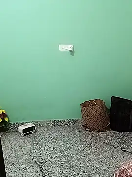 Saroj-Shah online show from November 15, 2025, 3:08 pm