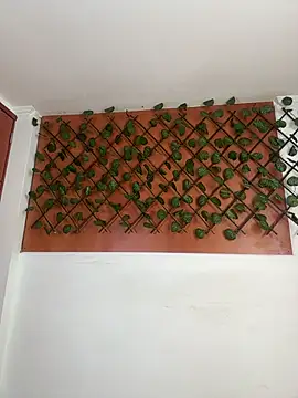 Snapshot of Emily_Trujillo chatting on November 8, 2025, 5:34 pm Emily Trujillo online show from November 8, 2025, 5:34 pm