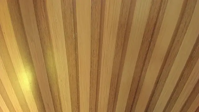 Taylor  cooper online show from April 18, 2026, 6:23 pm