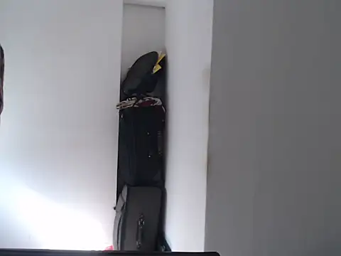 Mastertopdome online show from February 11, 2026, 12:43 pm