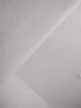 barboza991 online show from February 24, 2025, 3:20 pm