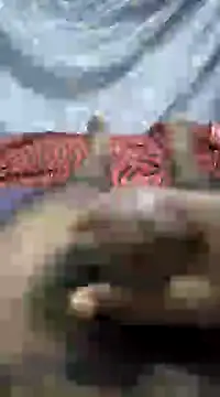 Snapshot of mallucallboy2104 chatting on January 1, 2025, 9:09 pm mallucallboy2104 online show from January 1, 2025, 9:09 pm