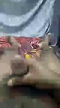 Snapshot of mallucallboy2104 chatting on February 13, 2025, 7:31 pm mallucallboy2104 online show from February 13, 2025, 7:31 pm