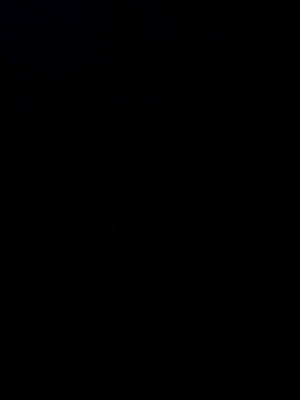 Desi SexyCoupleF online show from December 2, 2025, 4:57 pm