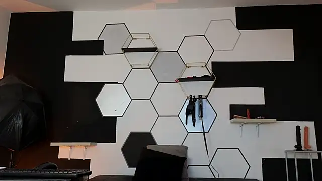 haileycat online show from February 10, 2025, 8:20 am