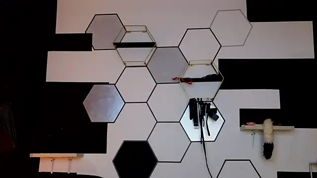 haileycat online show from February 14, 2025, 3:33 am