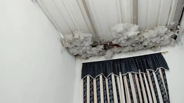 Lauu G online show from March 7, 2026, 1:52 pm