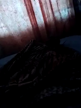 Ggjvdfhvde online show from November 13, 2025, 7:35 pm