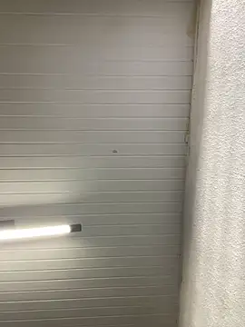 Snapshot of luara1988 chatting on September 27, 2025, 11:04 am luara1988 online show from September 27, 2025, 11:04 am