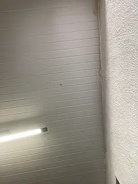 Snapshot of luara1988 chatting on October 23, 2025, 10:58 am luara1988 online show from October 23, 2025, 10:58 am