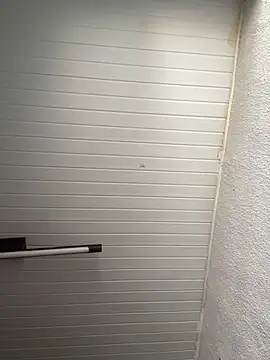 Snapshot of luara1988 chatting on November 12, 2025, 12:27 pm luara1988 online show from November 12, 2025, 12:27 pm