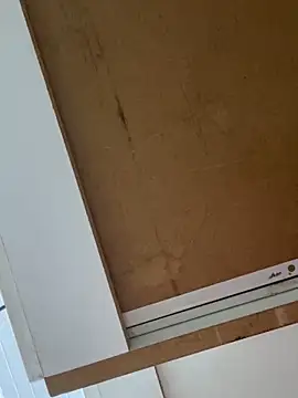 Snapshot of luara1988 chatting on February 18, 2026, 5:31 pm luara1988 online show from February 18, 2026, 5:31 pm