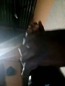 TastyAfrica online show from February 10, 2026, 5:28 pm