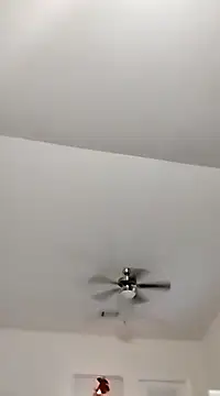 Playmate86 online show from December 5, 2024, 4:09 am