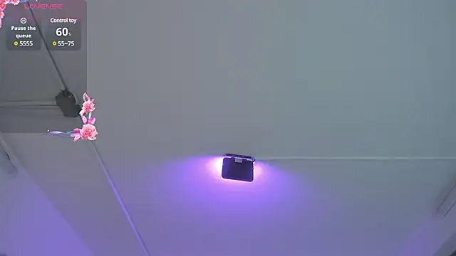 Meelanny ds online show from December 20, 2024, 4:42 am