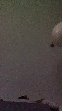 babylonia4sex online show from December 10, 2024, 11:43 am