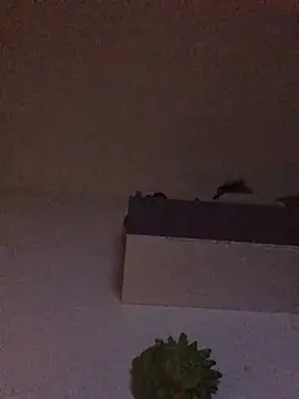 babylonia4sex online show from January 31, 2025, 11:13 am