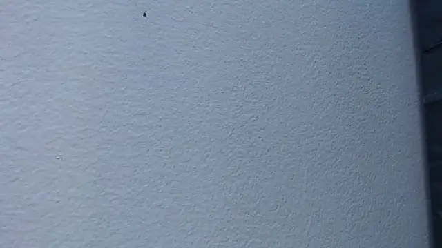 Hanna Fox 69 online show from February 15, 2025, 6:02 am