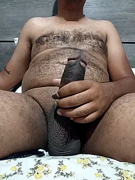 Jornaodaputaria online show from November 5, 2025, 6:08 pm