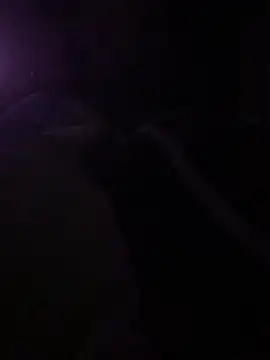 solomec online show from March 6, 2025, 10:26 pm