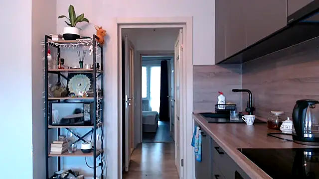 jainesummer online show from March 12, 2025, 8:19 am