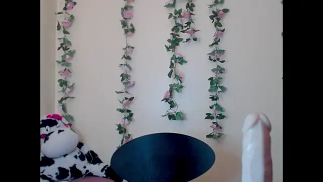 Snapshot of Saloome- chatting on June 15, 2026, 7:05 pm Saloome- online show from June 15, 2026, 7:05 pm