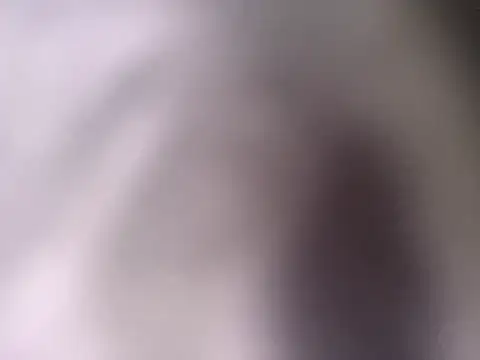 pantomax online show from September 20, 2025, 8:48 am